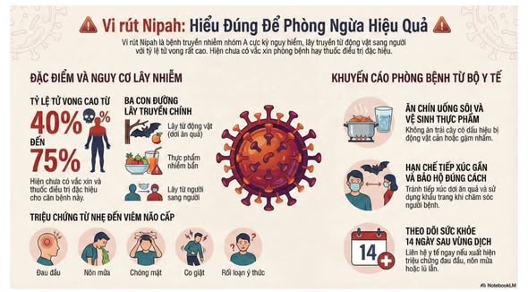 TUYÊN TRUYỀN PHÒNG TRÁNH VIRUS NIPAH