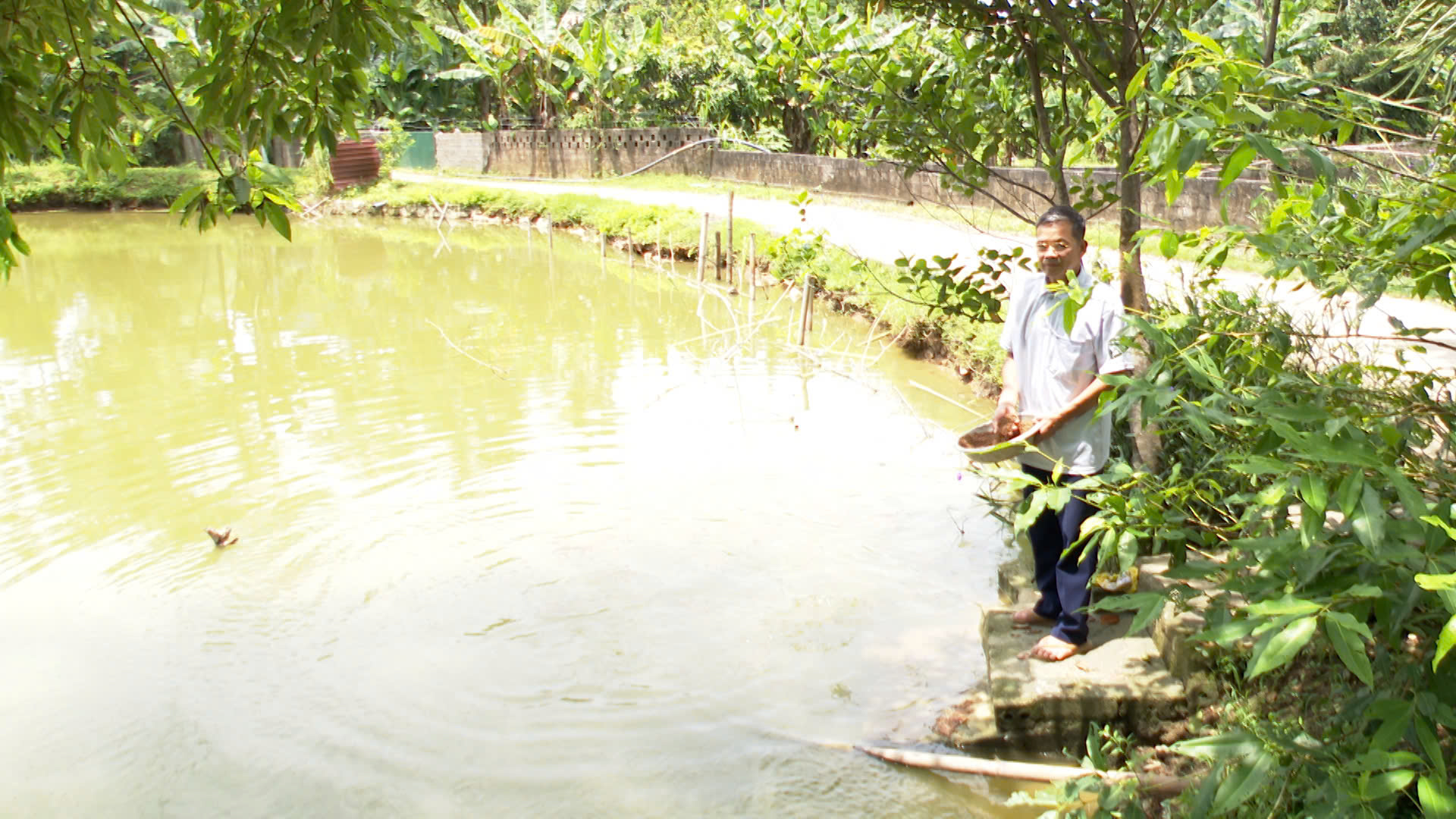 Lan tỏa phong trào thi đua “Cựu chiến binh gương mẫu”