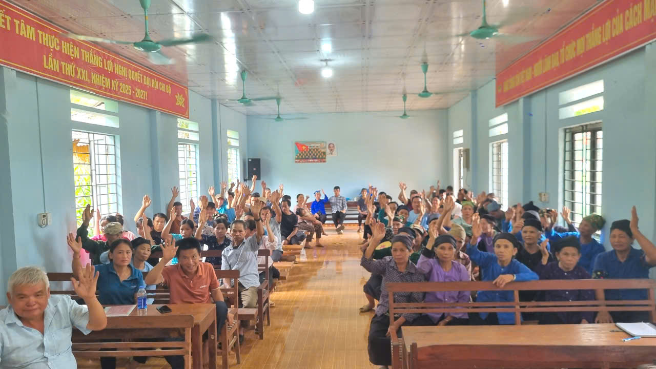 yk 6.jpg
