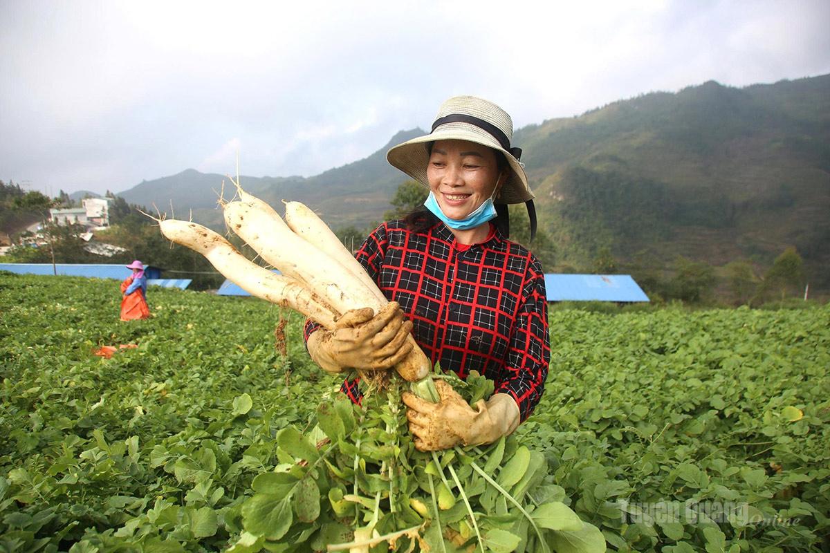 Bài 2: Tư duy mới trên đồng đất cũ