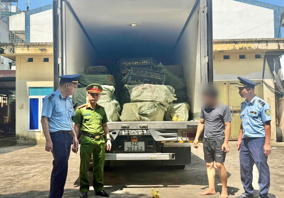 PHÁT HIỆN, XỬ LÝ XE TẢI CHỞ 24.000 VỊT GIỐNG VÀ 2,5 TẤN THỰC PHẨM ĐÔNG LẠNH KHÔNG RÕ NGUỒN GỐC
