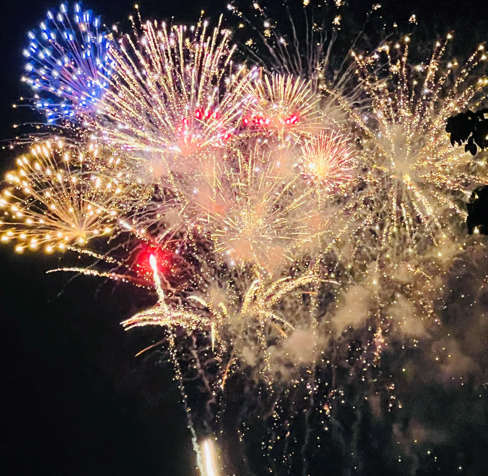 Tổ chức bắn pháo hoa Tết Nguyên đán Bính Ngọ năm 2026.