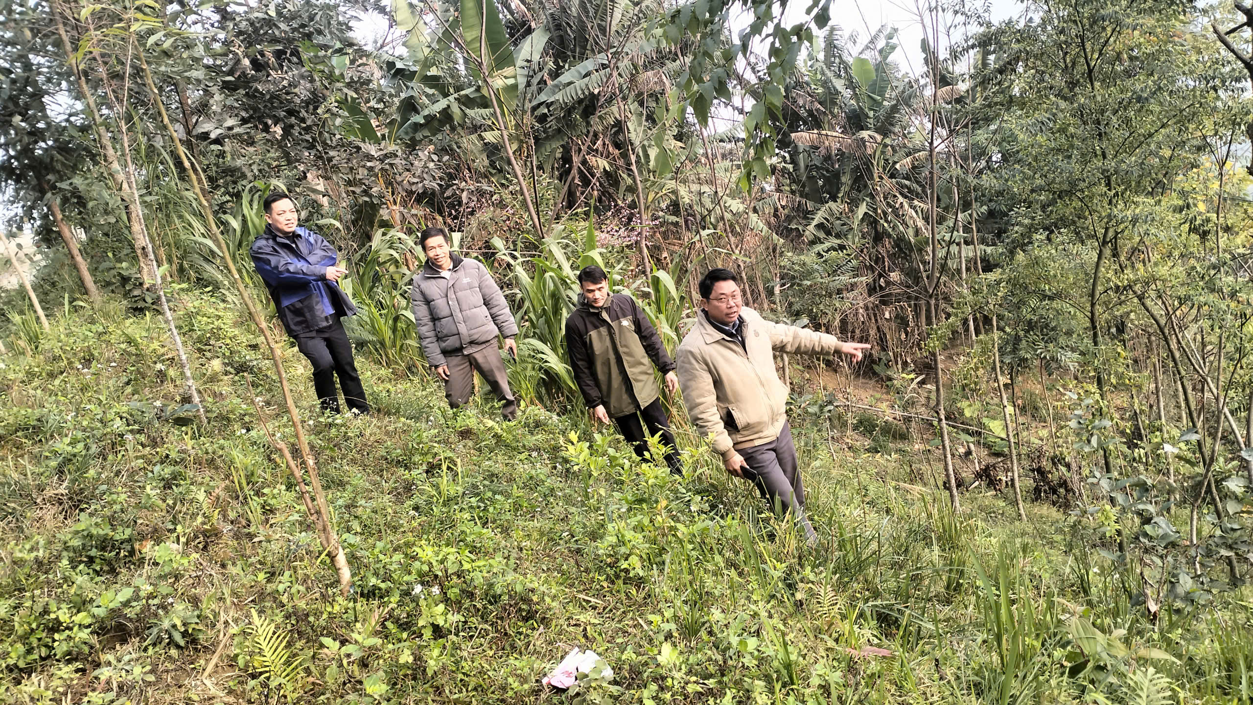 Phó Chủ tịch UBND xã khảo sát khu vực dự kiến trồng cây Tre Lục Trúc
