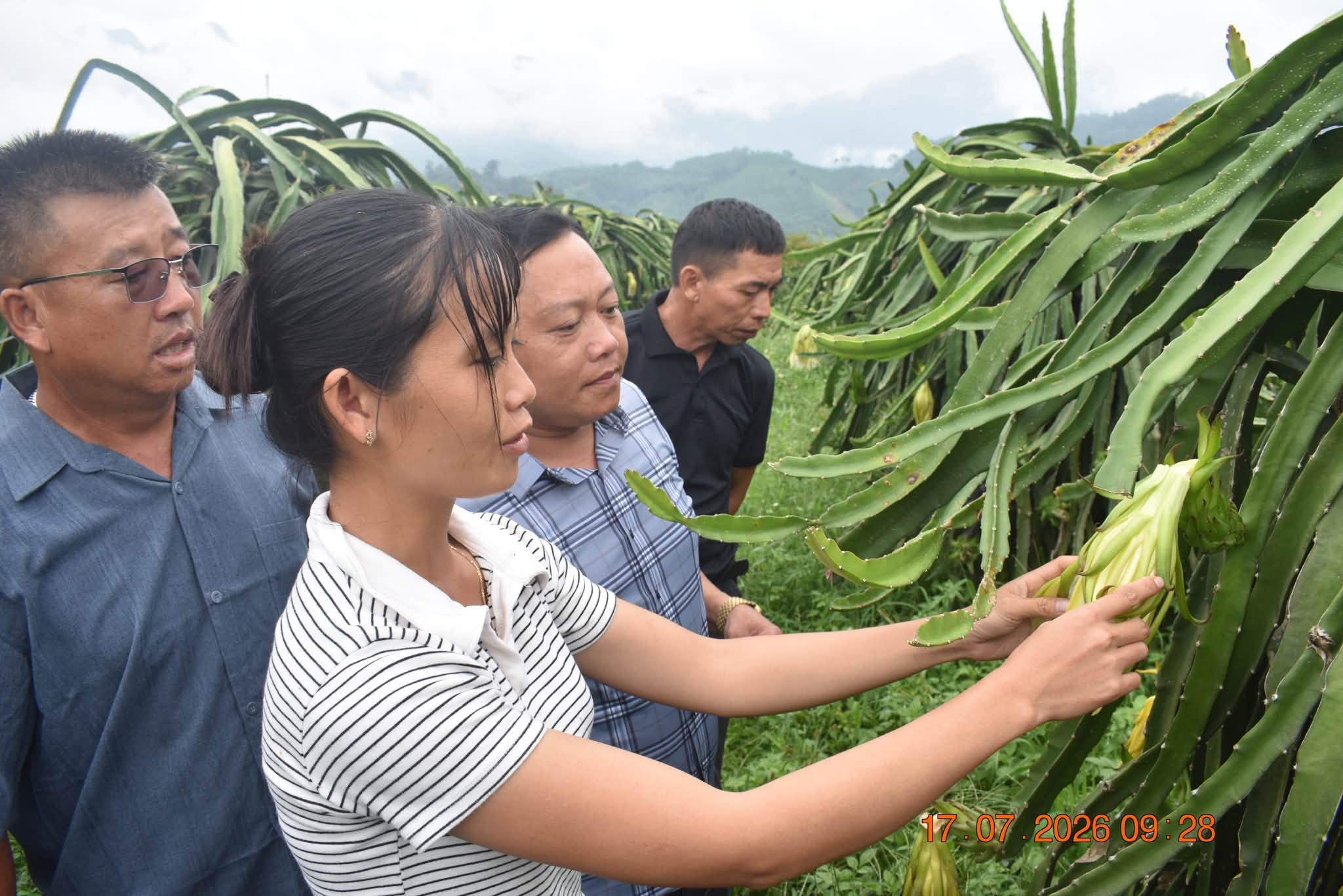 XÃ BẠCH ĐÍCH THAM QUAN, HỌC TẬP KINH NGHIỆM PHÁT TRIỂN CÁC MÔ HÌNH KINH TẾ TẠI XÃ BẠCH XA