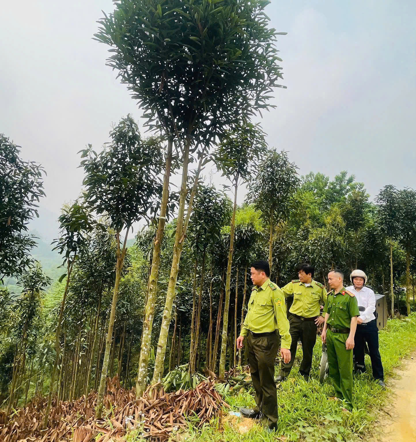 CÔNG AN XÃ BẠCH NGỌC TĂNG CƯỜNG TUYÊN TRUYỀN PHÒNG CHÁY, CHỮA CHÁY RỪNG TRÊN ĐỊA BÀN