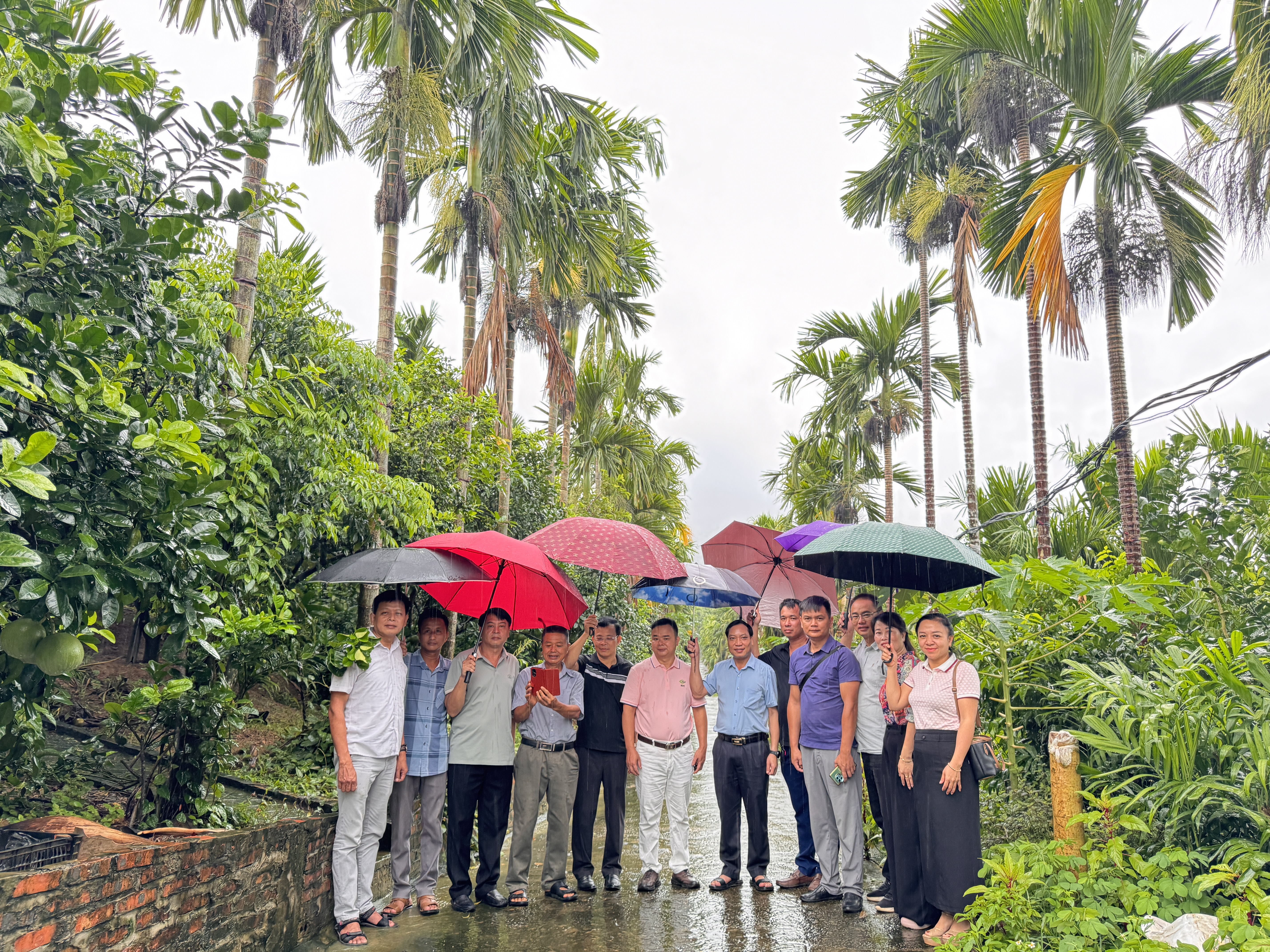 ĐOÀN CÔNG TÁC BAN QUẢN LÝ CÁC KHU CÔNG NGHIỆP VÀ KHU KINH TẾ TỈNH KHẢO SÁT VÙNG TRỒNG BƯỞI VÀ CHANH KHÔNG HẠT TẠI XÃ XUÂN VÂN