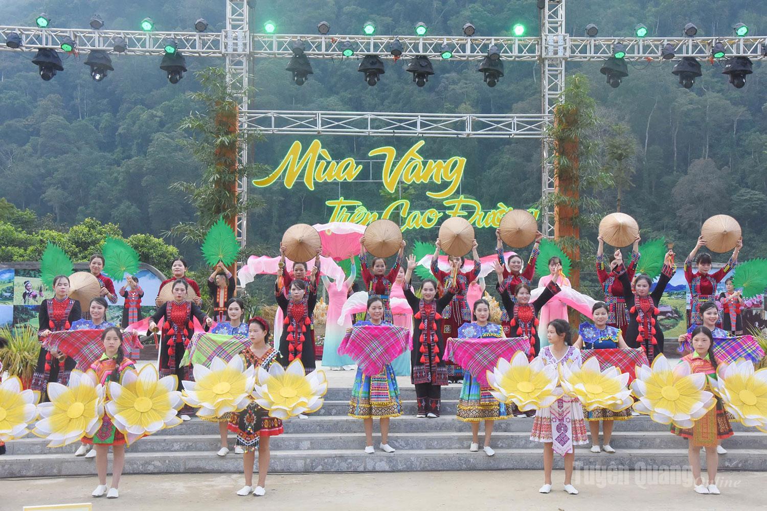 Mùa vàng trên Cao Đường