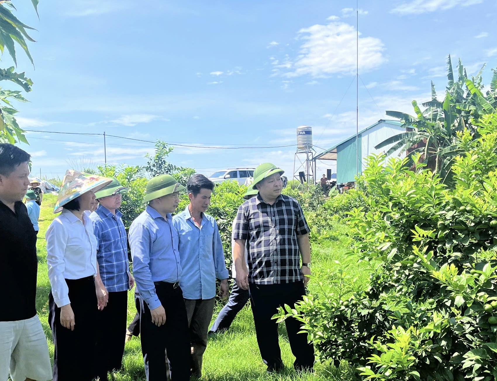Chủ tịch UBND tỉnh Phan Huy Ngọc thăm mô hình trồng chanh tứ thì tại xã Bình Ca