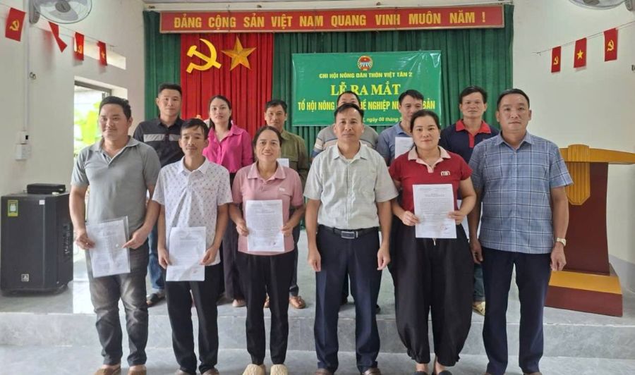 Lễ ra mắt Tổ Hội Nông dân nghề nghiệp Nuôi lợn bản tại thôn Việt Tân 2