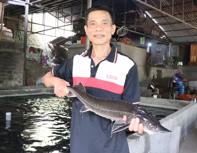 Đồng bào Dao dưới chân dãy Tây Côn Lĩnh vươn lên thoát nghèo