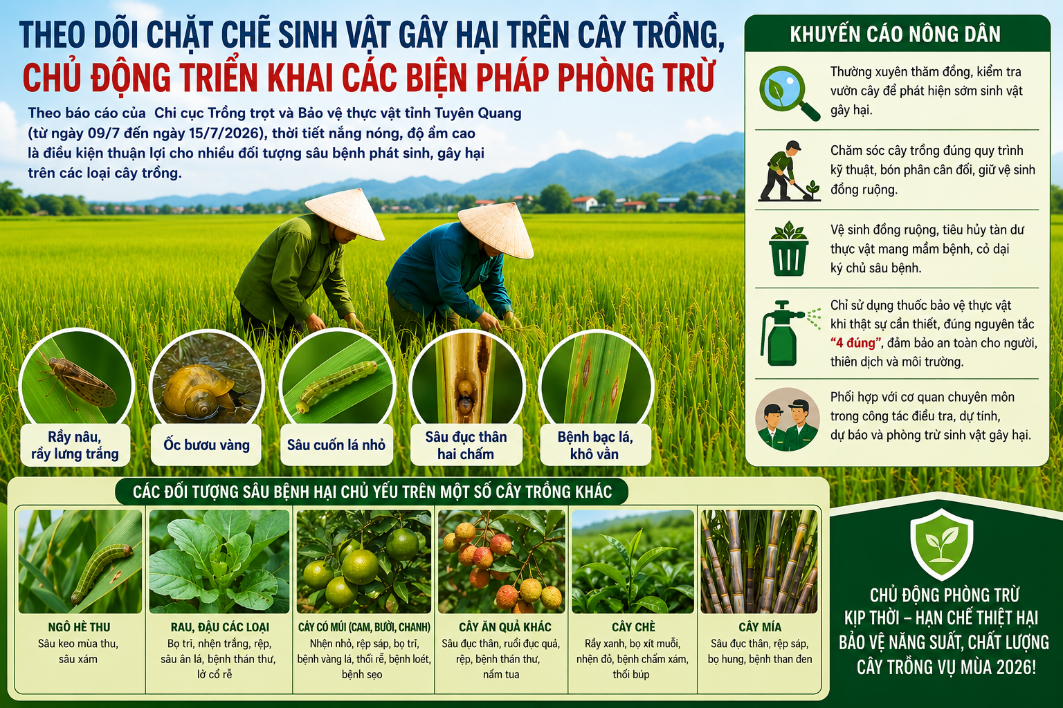 KHUYẾN CÁO CHỦ ĐỘNG PHÒNG, CHỐNG SINH VẬT GÂY HẠI TRÊN CÂY TRỒNG VỤ MÙA NĂM 2026