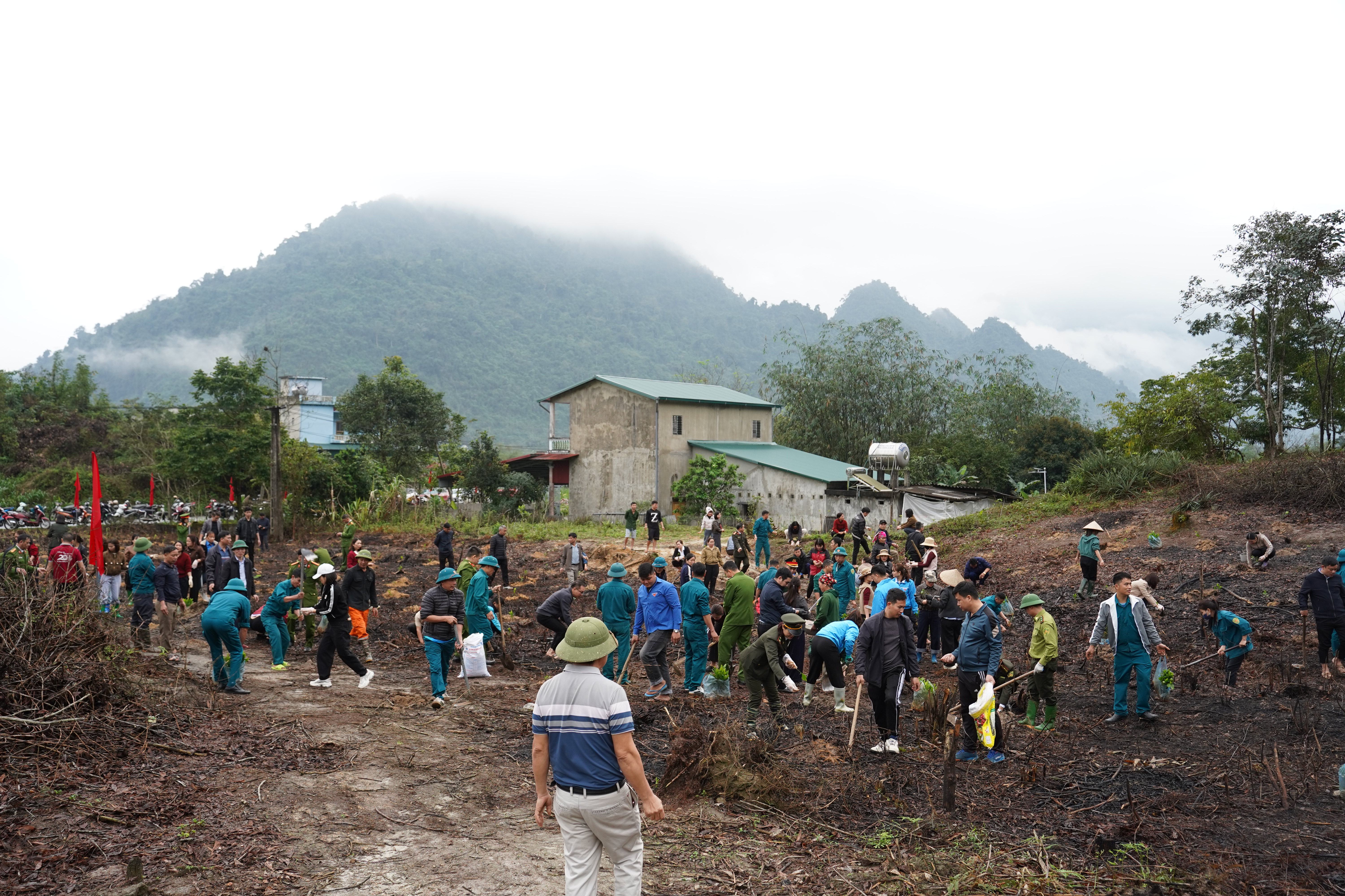 Trồng c&acirc;y 8.JPG