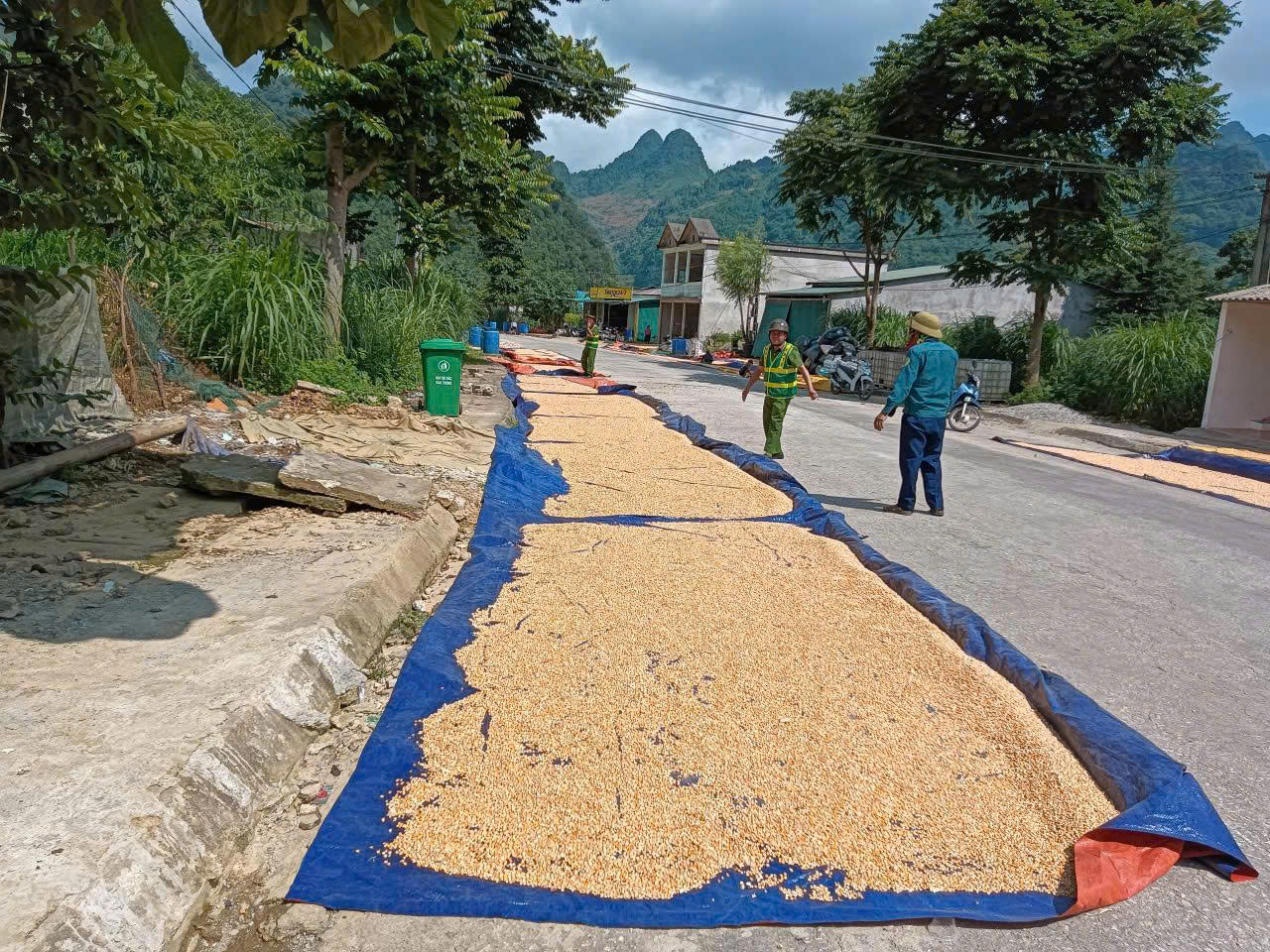 CÔNG AN XÃ ĐƯỜNG THƯỢNG TUYÊN TRUYỀN, VẬN ĐỘNG NHÂN DÂN KHÔNG PHƠI NÔNG SẢN, ĐẶC BIỆT LÀ NGÔ, TRÊN LÒNG ĐƯỜNG GIAO THÔNG
