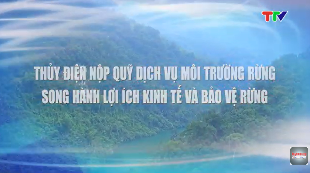 Thủy điện nộp Quỹ dịch vụ môi trường rừng - Song hành lợi ích kinh tế và bảo vệ rừng