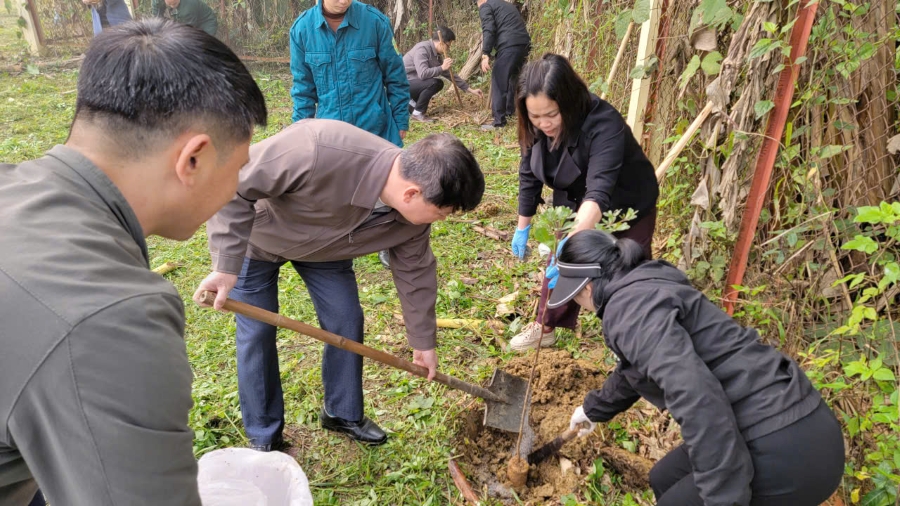 trồng c&acirc;y BT1.jpg