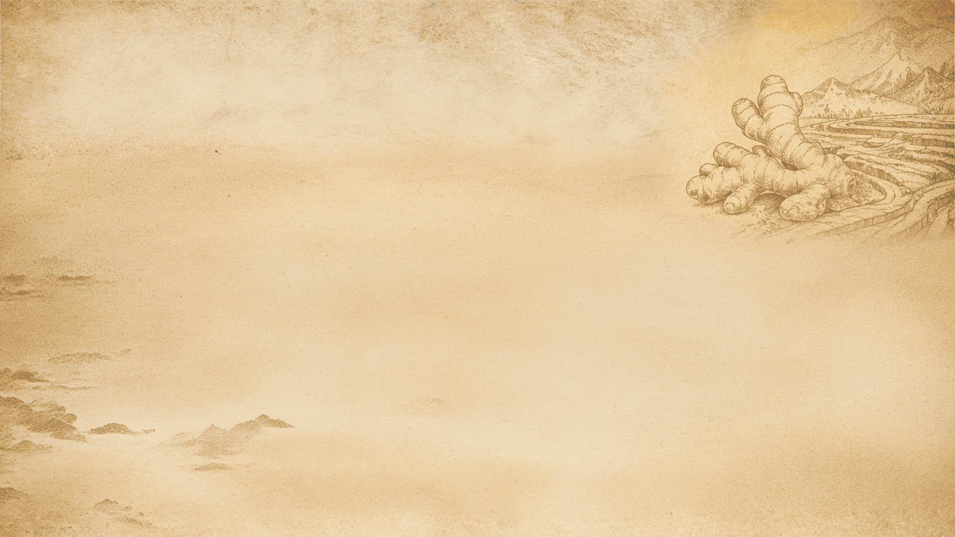 unnamed (9).gif