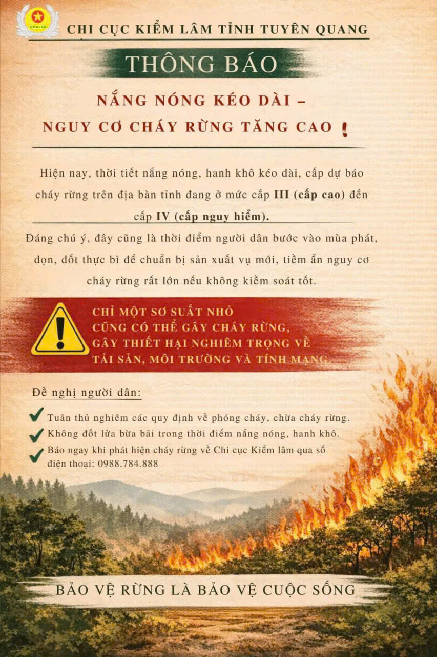 CẢNH BÁO NẮNG NÓNG – NGUY CƠ CHÁY RỪNG TĂNG CAO