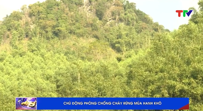 Chủ động phòng chống cháy rừng mùa hanh khô