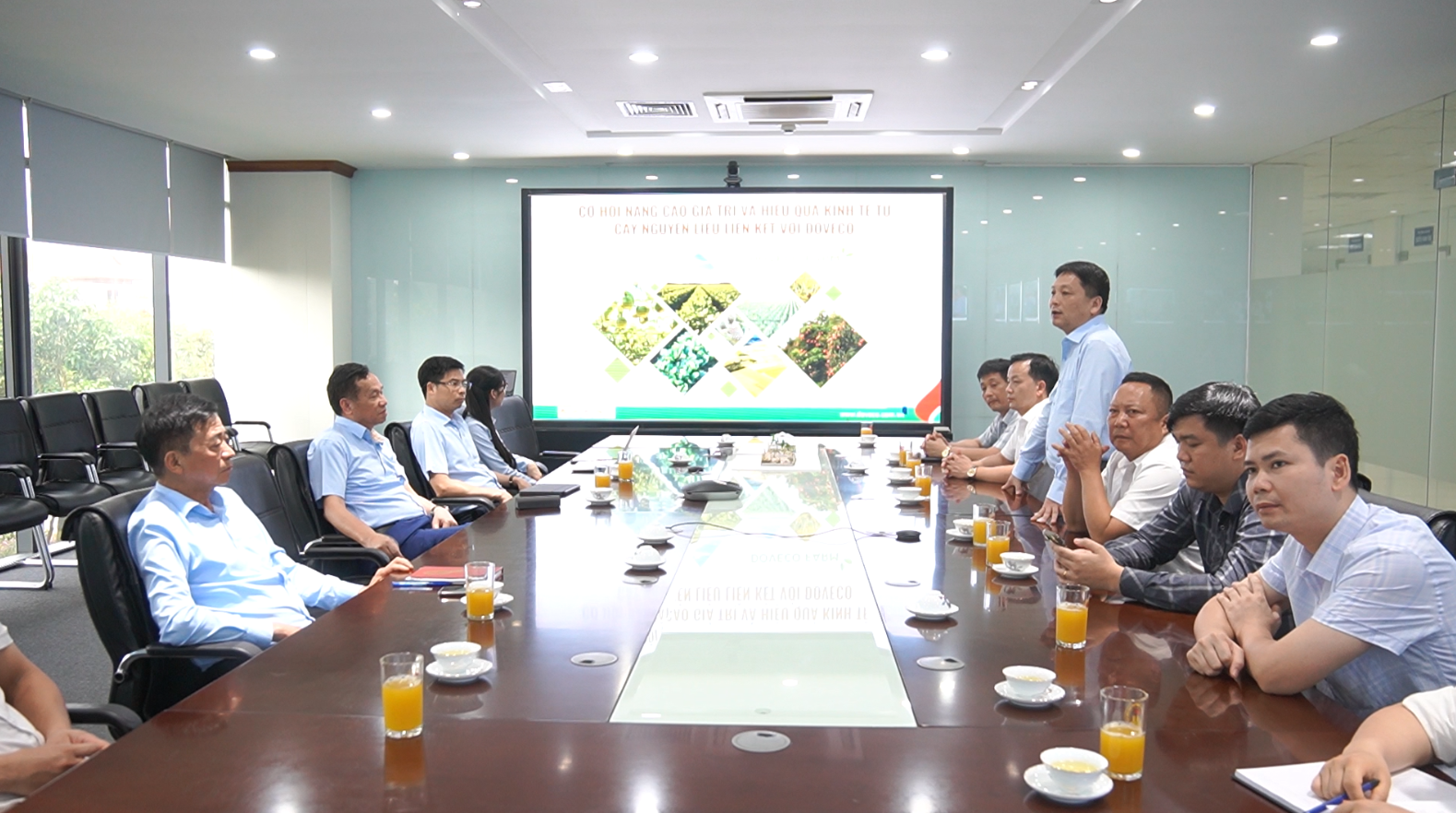 Sơn Dương tìm hướng đi mới từ cây dứa - Kỳ vọng hình thành vùng nguyên liệu gắn với chế biến, tiêu thụ bền vững