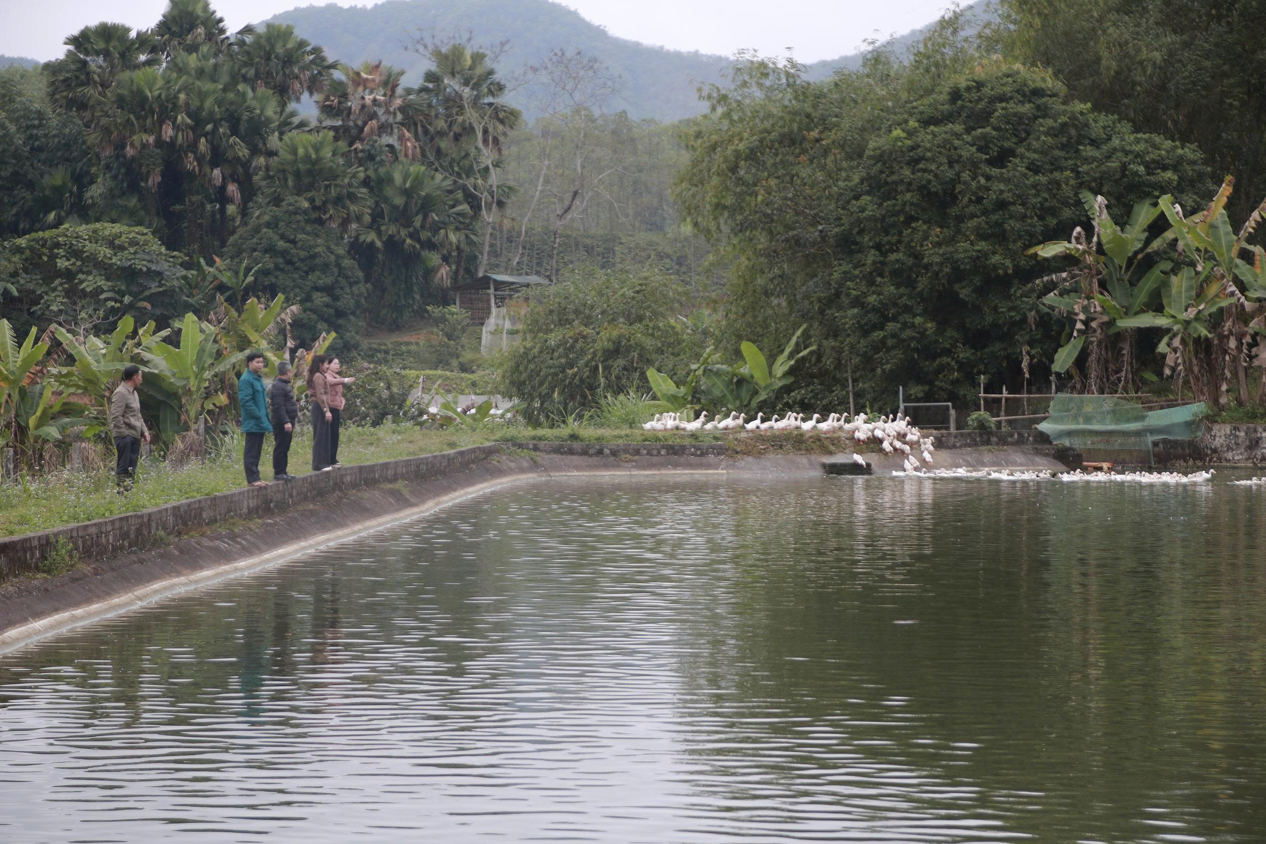 Phó Bí thư Đảng ủy xã Bằng Hành thăm mô hình kinh tế điển hình của Chi Đoàn thanh niên thôn Nặm Mái
