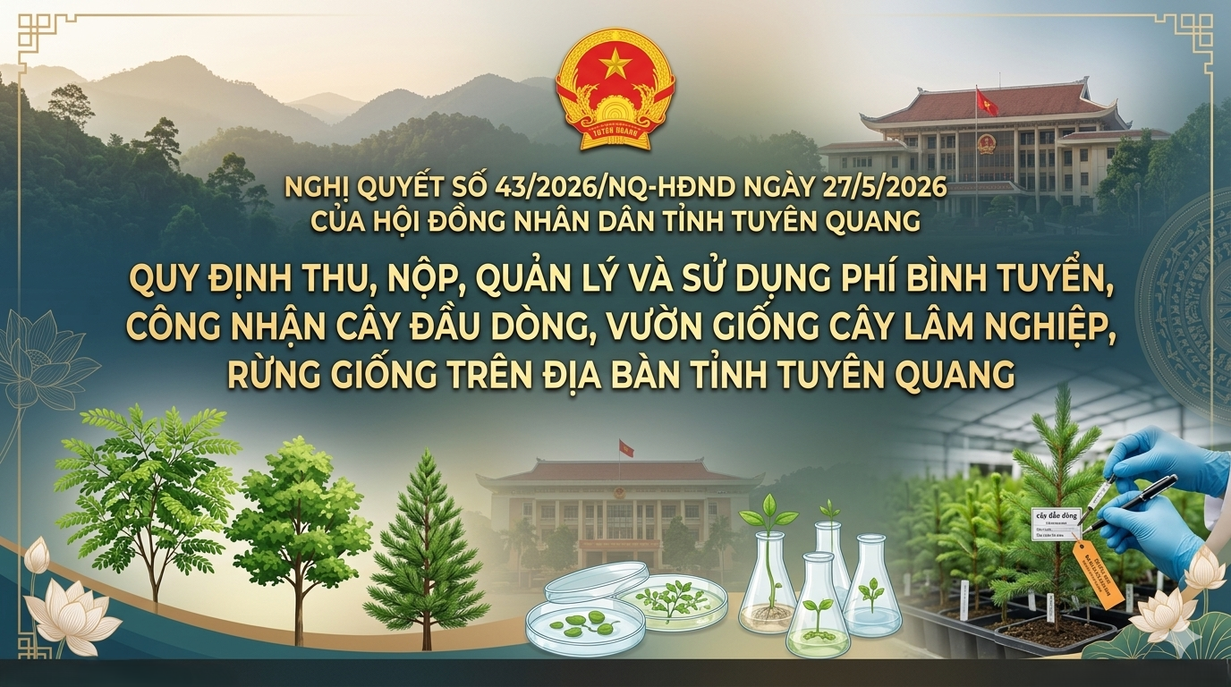 Nghị quyết số 43/2026/NQ-HĐND ngày 27/5/2026 của Hội đồng nhân dân tỉnh Tuyên Quang Quy định thu, nộp, quản lý và sử dụng phí bình tuyển, công nhận cây đầu dòng, vườn giống cây lâm nghiệp, rừng giống trên địa bàn tỉnh Tuyên Quang