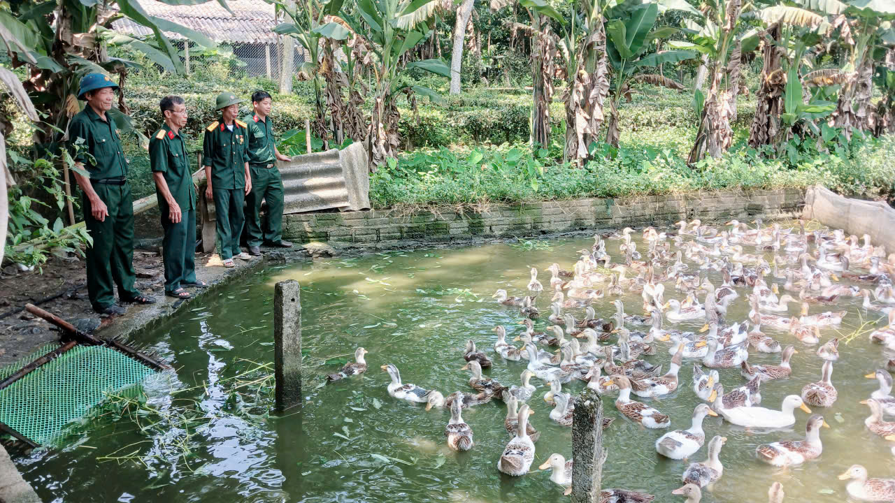 Hội Cựu chiến binh xã Linh Hồ thăm mô hình hội viên làm kinh tế giỏi