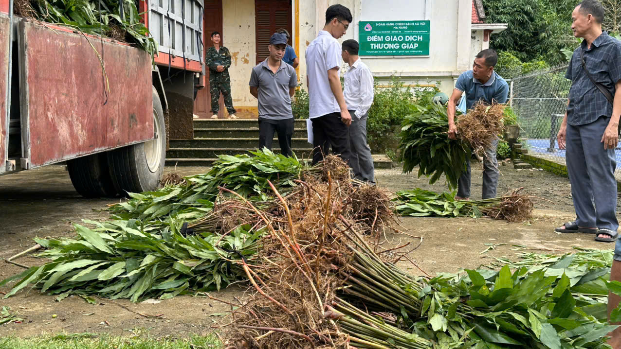 sa nhan 11.jpg