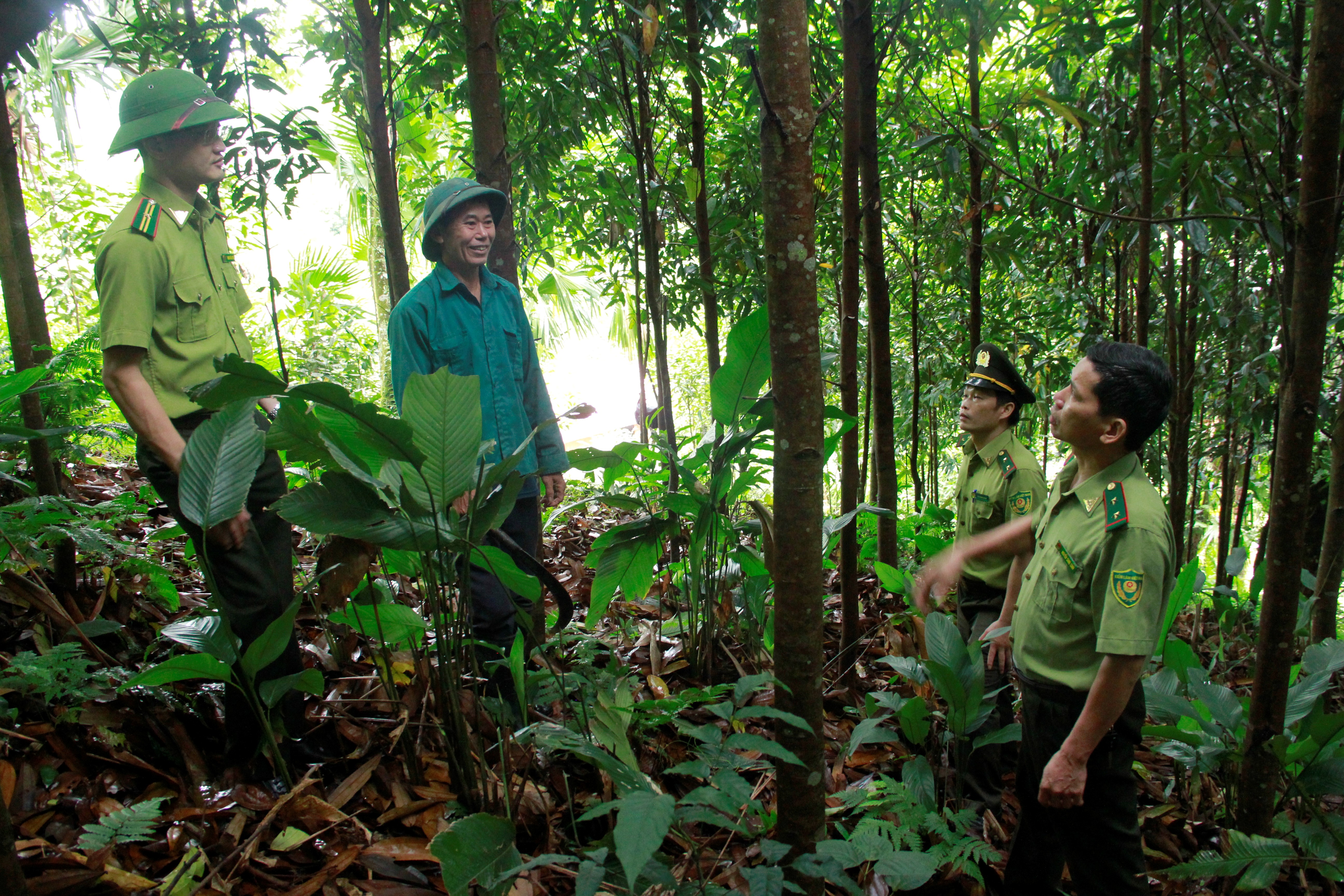 Tuyen Quang Strives to Become a High-Tech Forestry Processing Hub