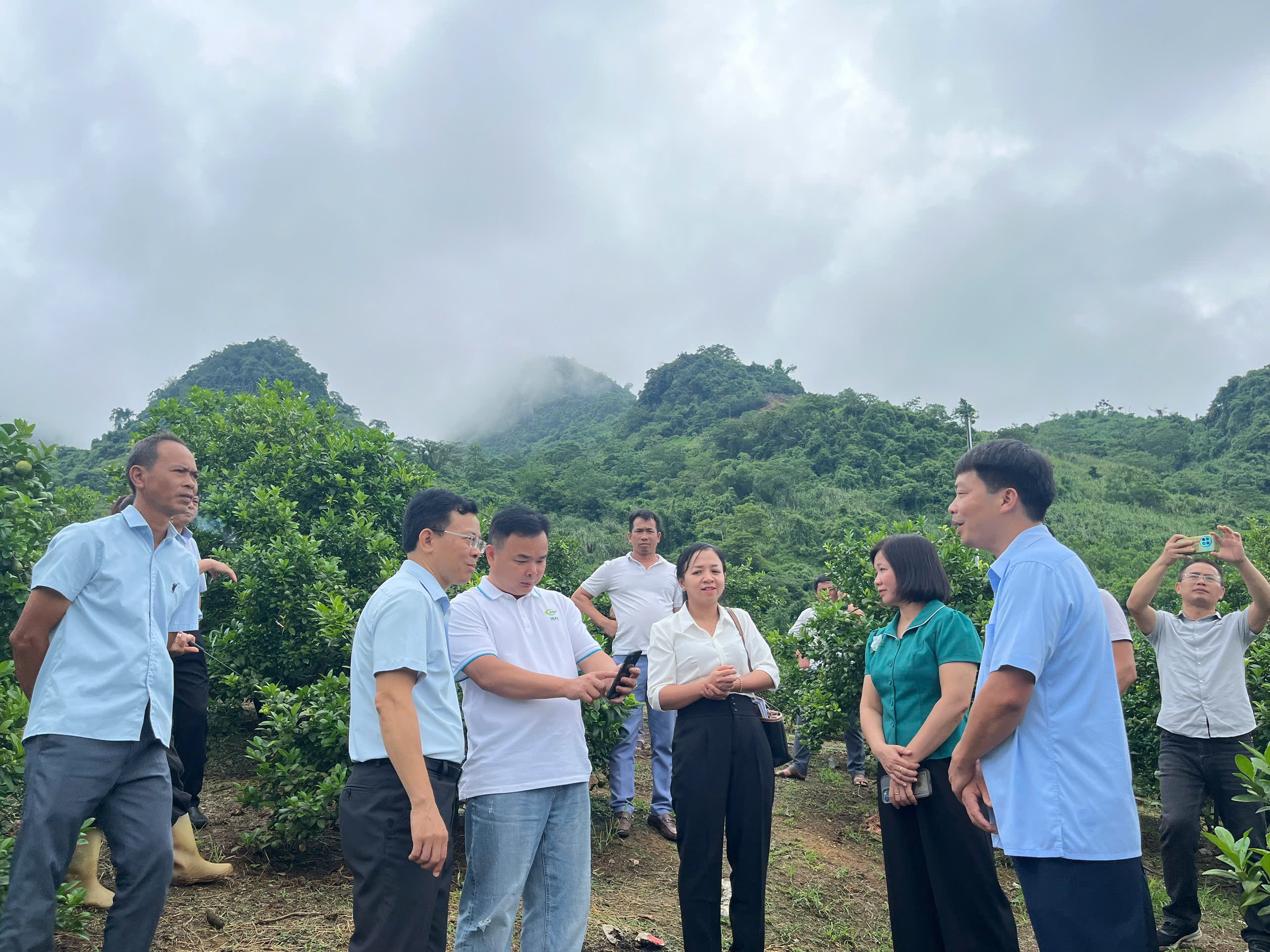 XÃ PHÙ LƯU LÀM VIỆC VỚI ĐOÀN CÔNG TÁC CÔNG TY TNHH CÔNG NGHỆ SINH HỌC BÁC NINH VÂN NAM (TRUNG QUỐC): MỞ RA CƠ HỘI HỢP TÁC PHÁT TRIỂN VÙNG NGUYÊN LIỆU CÂY CHANH
