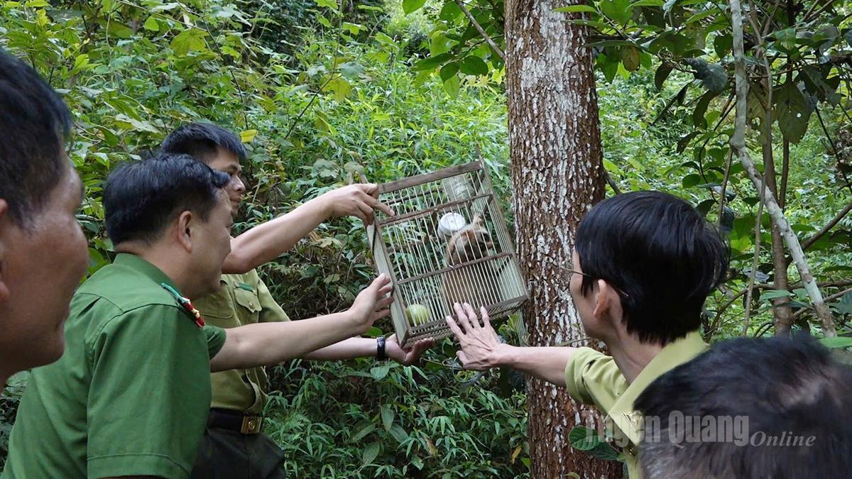 Thả cá thể Culi quý hiếm về môi trường tự nhiên