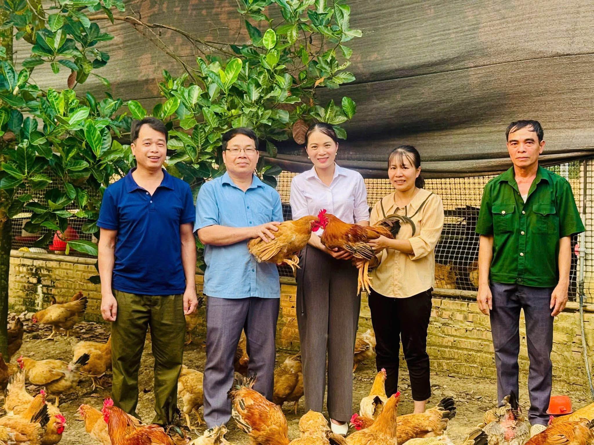 Hòa An: Tổng kết, đánh giá hiệu quả Dự án hỗ trợ phát triển sản xuất nuôi gà thịt