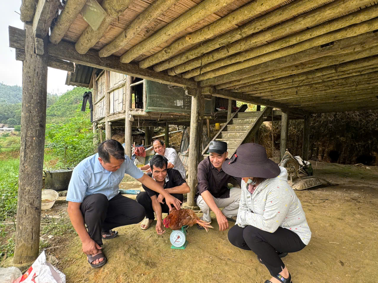 nghiệm thu g&agrave; ri kg dc H..jpg