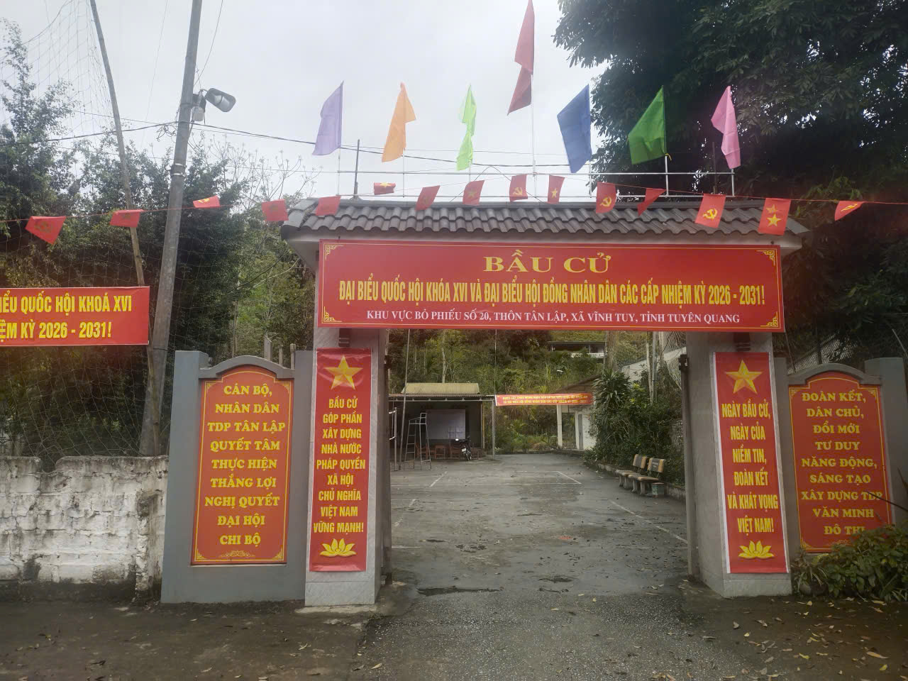 T T&acirc;n lập.jpg