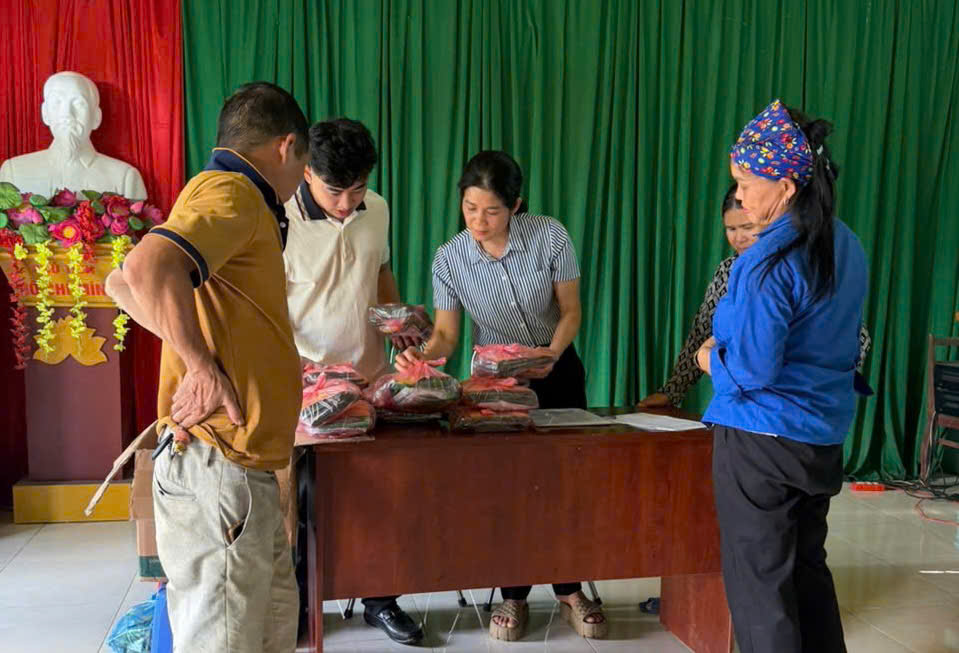 Xã Bạch Ngọc hỗ trợ giống rau, thúc đẩy phát triển mô hình trồng rau an toàn
