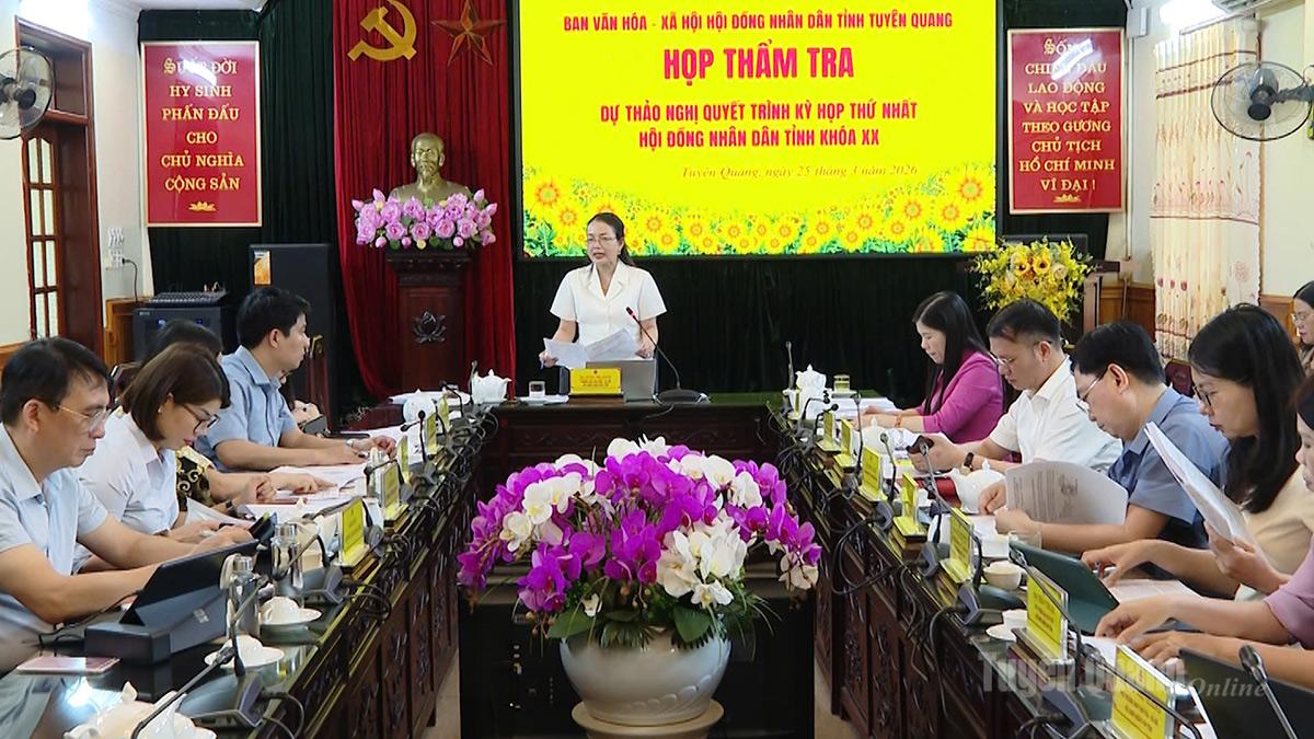 Thẩm tra các dự thảo nghị quyết trình Kỳ họp thứ nhất HĐND tỉnh khóa XX