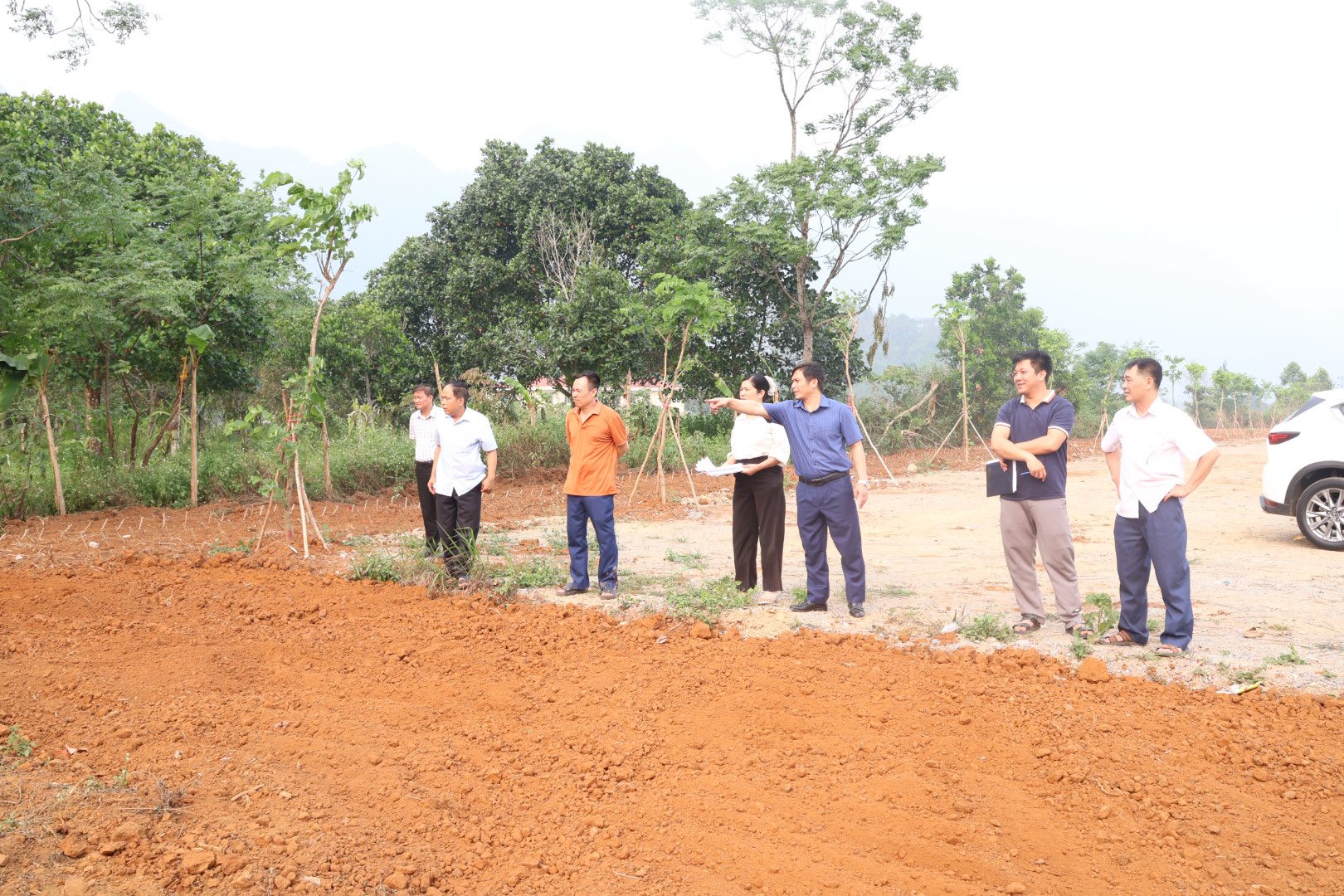 Đồng chí Hà Minh Mẫn, Chủ tịch UBND phường kiểm tra công tác trồng hoa dã quỳ phục vụ lễ hội năm 2026.