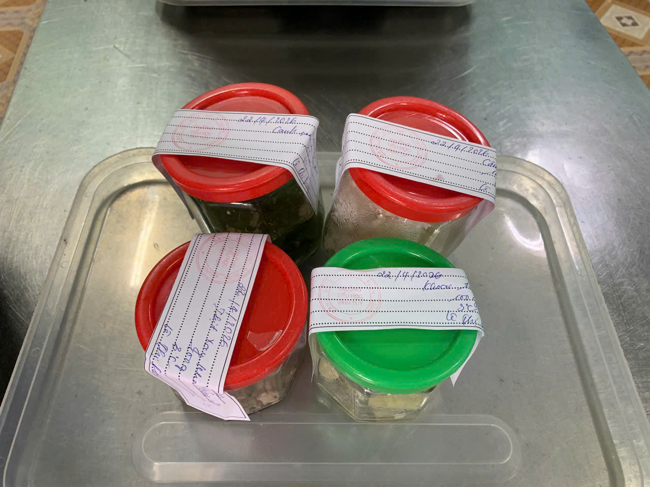 Ktra TH Vtuy th ăn luuw.jpg