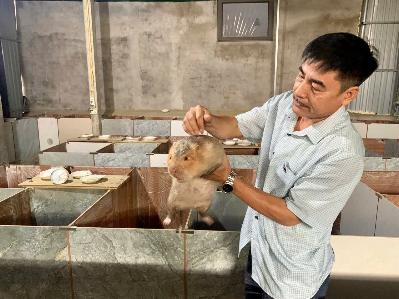Đông Thọ: thăm, kiểm tra các mô hình “3 cây, 3 con” chủ lực trên địa bàn xã