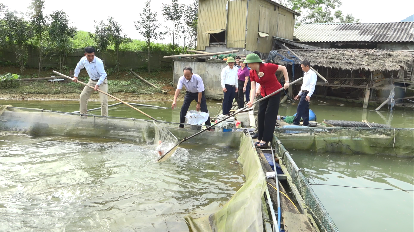 Thường trực Đảng ủy làm việc với các hộ thực hiện Dự án nuôi cá lồng tại thôn An Bình