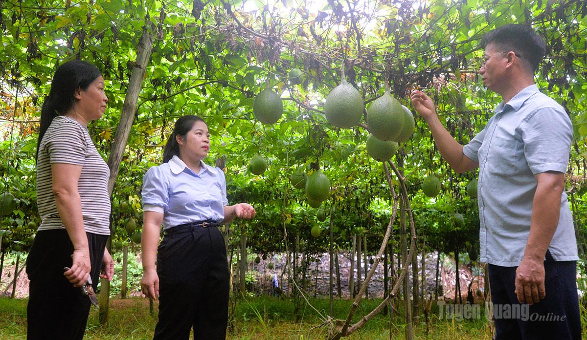 NGHỊ QUYẾT SÁT VIỆC, CHI BỘ SÁT DÂN