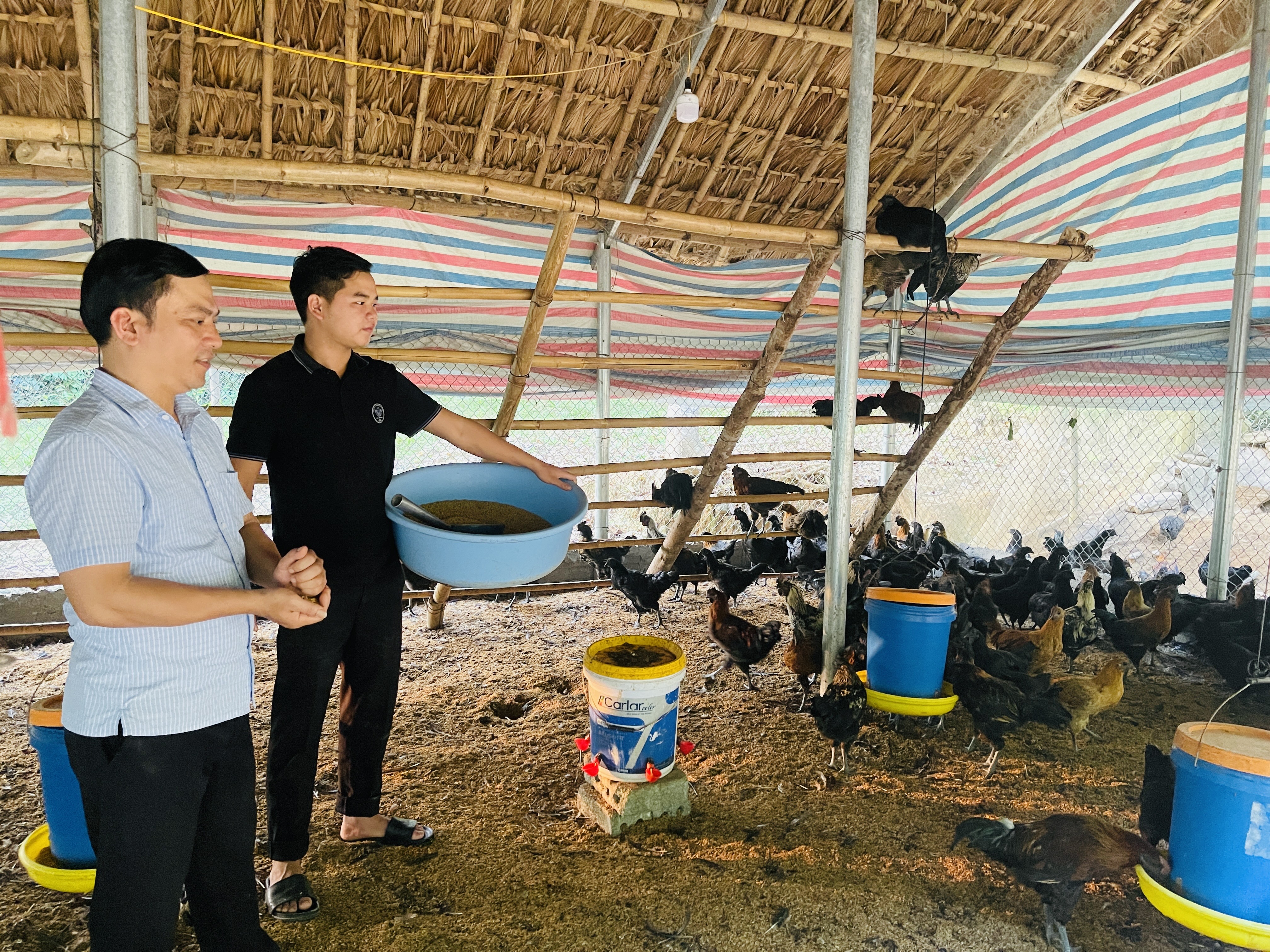 Tuổi trẻ Tuyên Quang khẳng định bản lĩnh trong phong trào khởi nghiệp, lập nghiệp