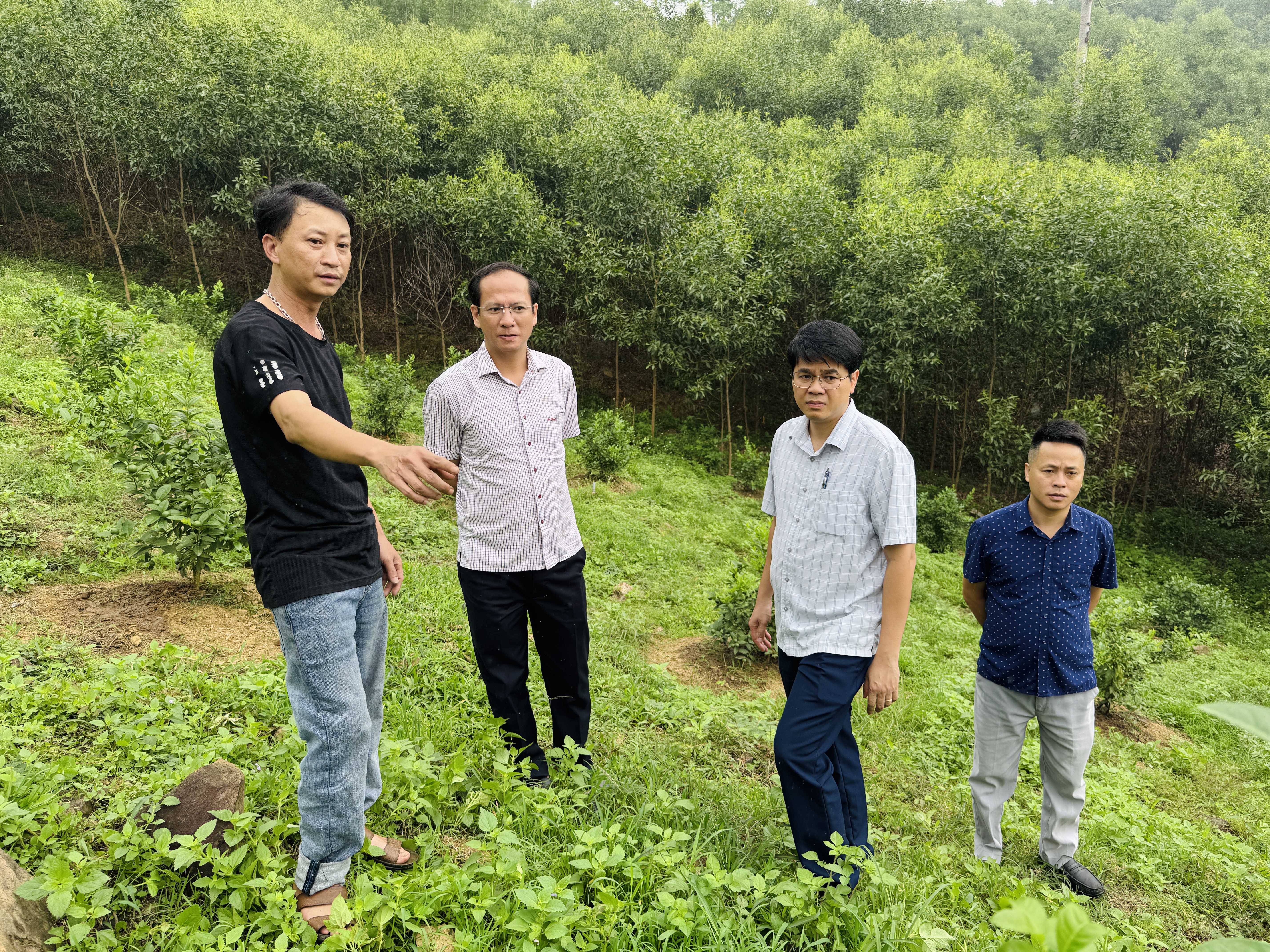 Lãnh đạo xã Tân Trào kiểm tra các mô hình phát triển kinh tế trên địa bàn