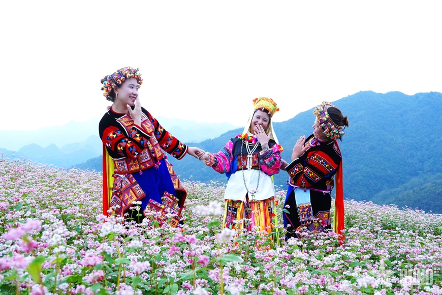 53776dbfea6d8e0de7bc38b154b4ef8a