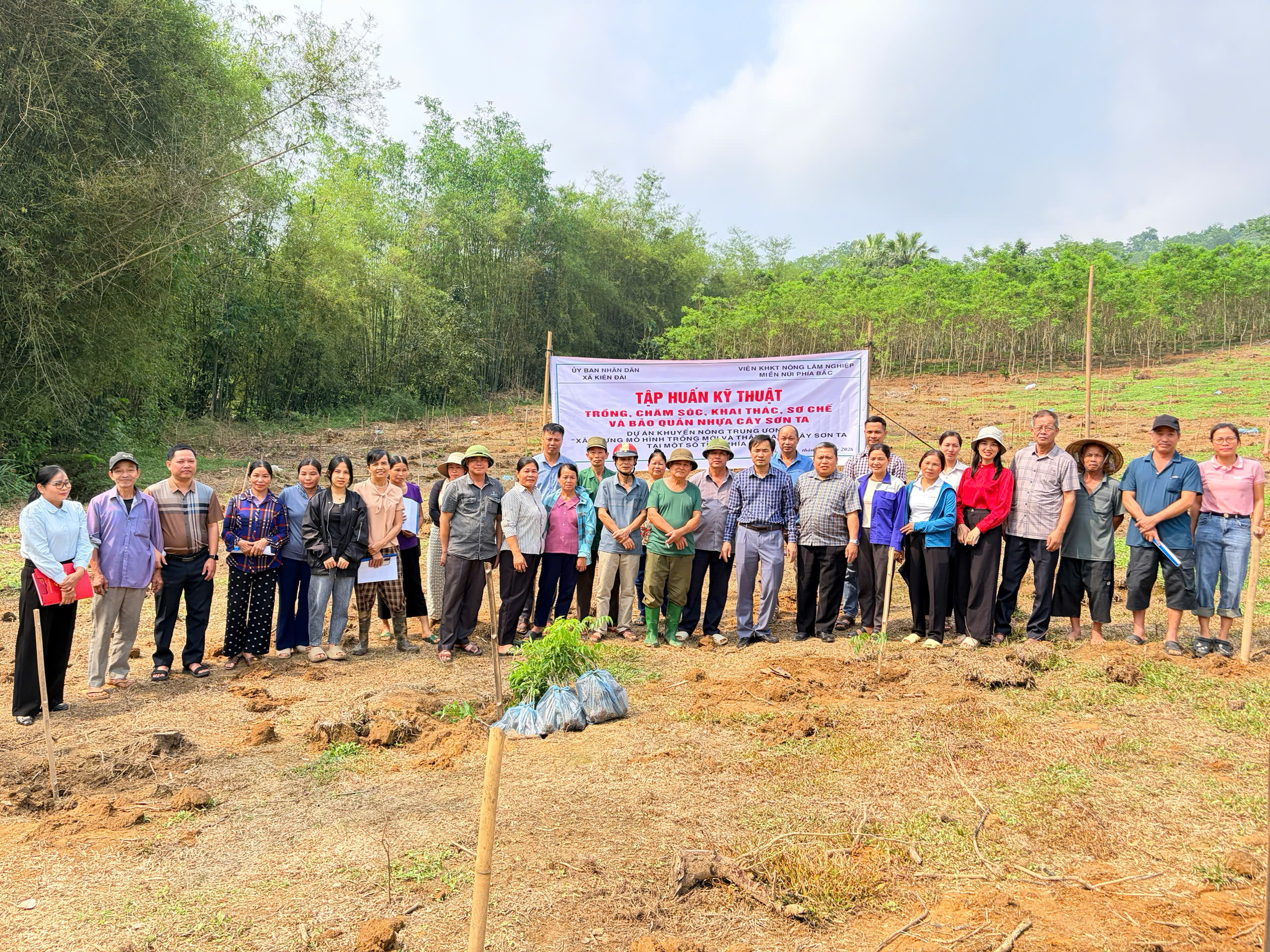 Kiên Đài tập huấn kỹ thuật trồng, chăm sóc và khai thác nhựa cây sơn ta gắn với thực hành tại cơ sở