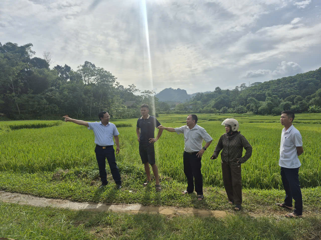 Ktra điện2.jpg