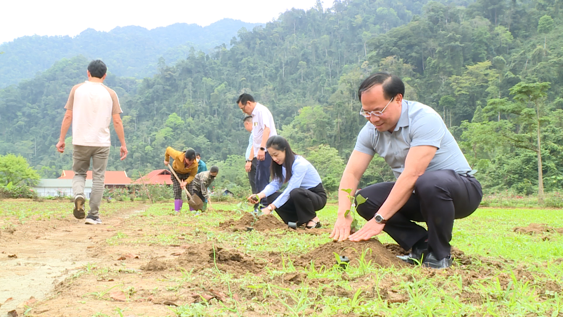 Lãnh đạo xã Nà Hang thăm, khảo sát dự án trồng thử nghiệm cây chanh leo tại thôn Bản Bung