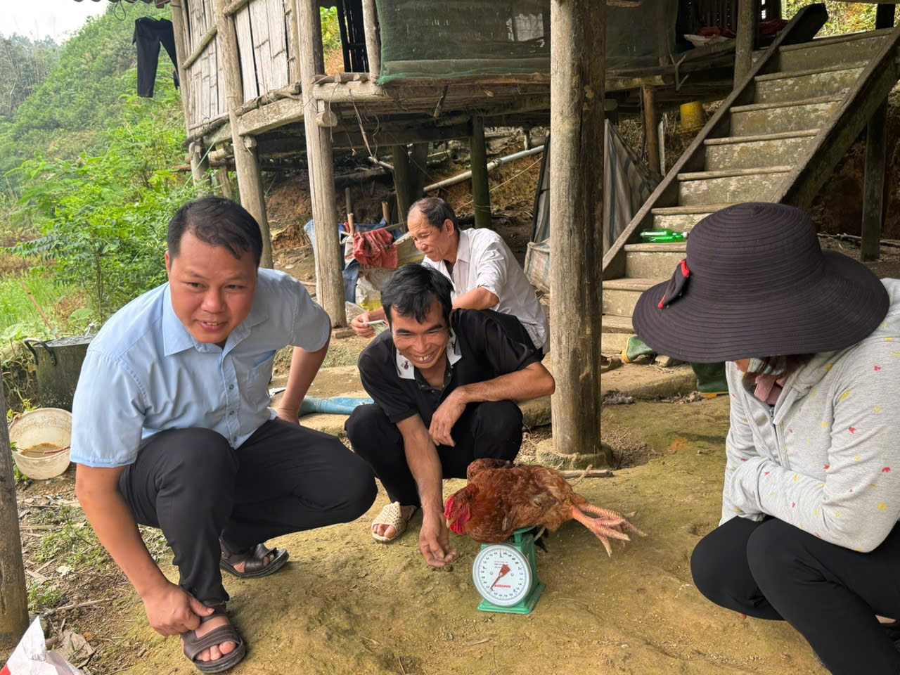 nghiệm thu g&agrave; ri kg dc H.jpg