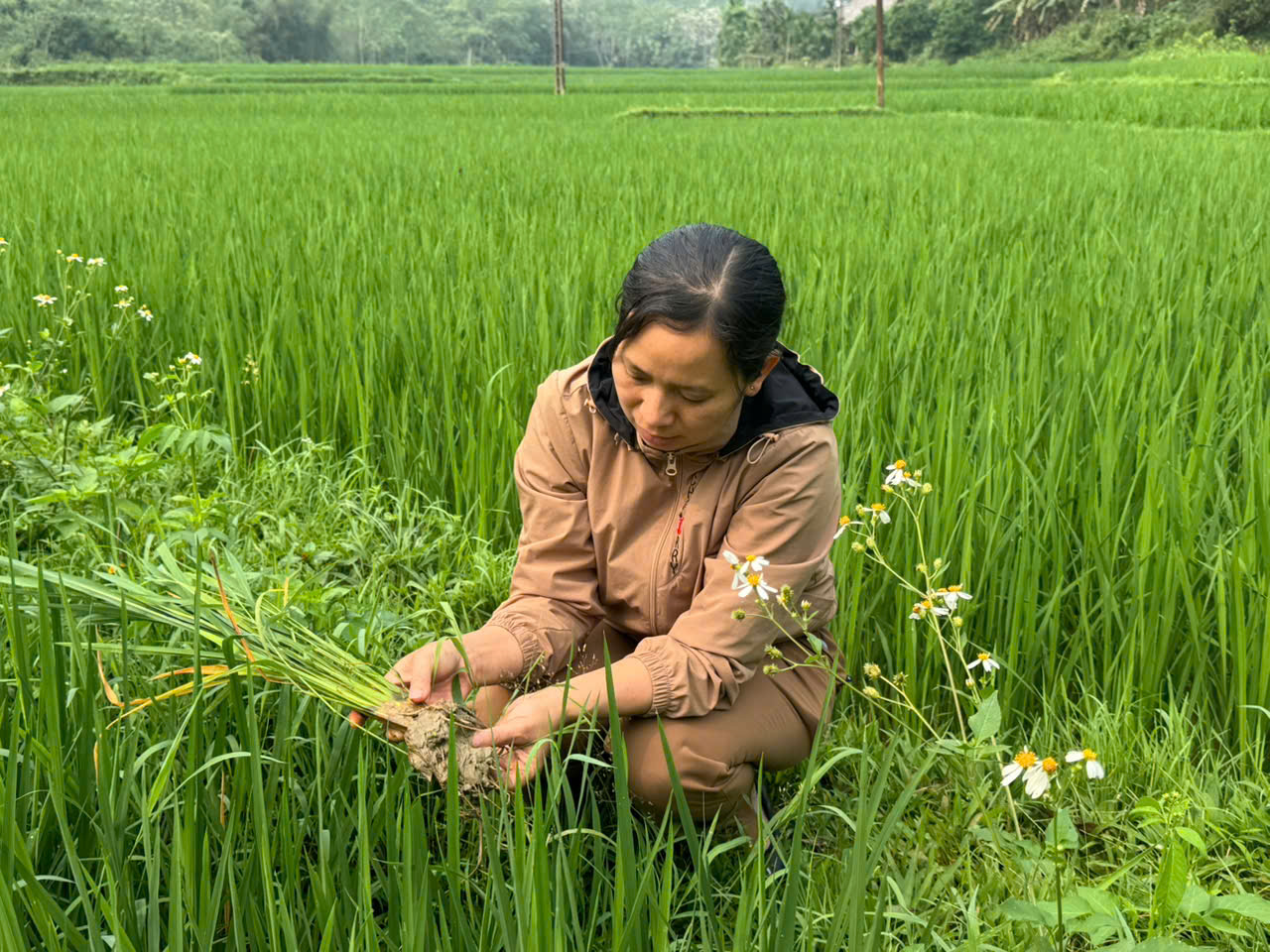 Ktra l&uacute;a,4.jpg