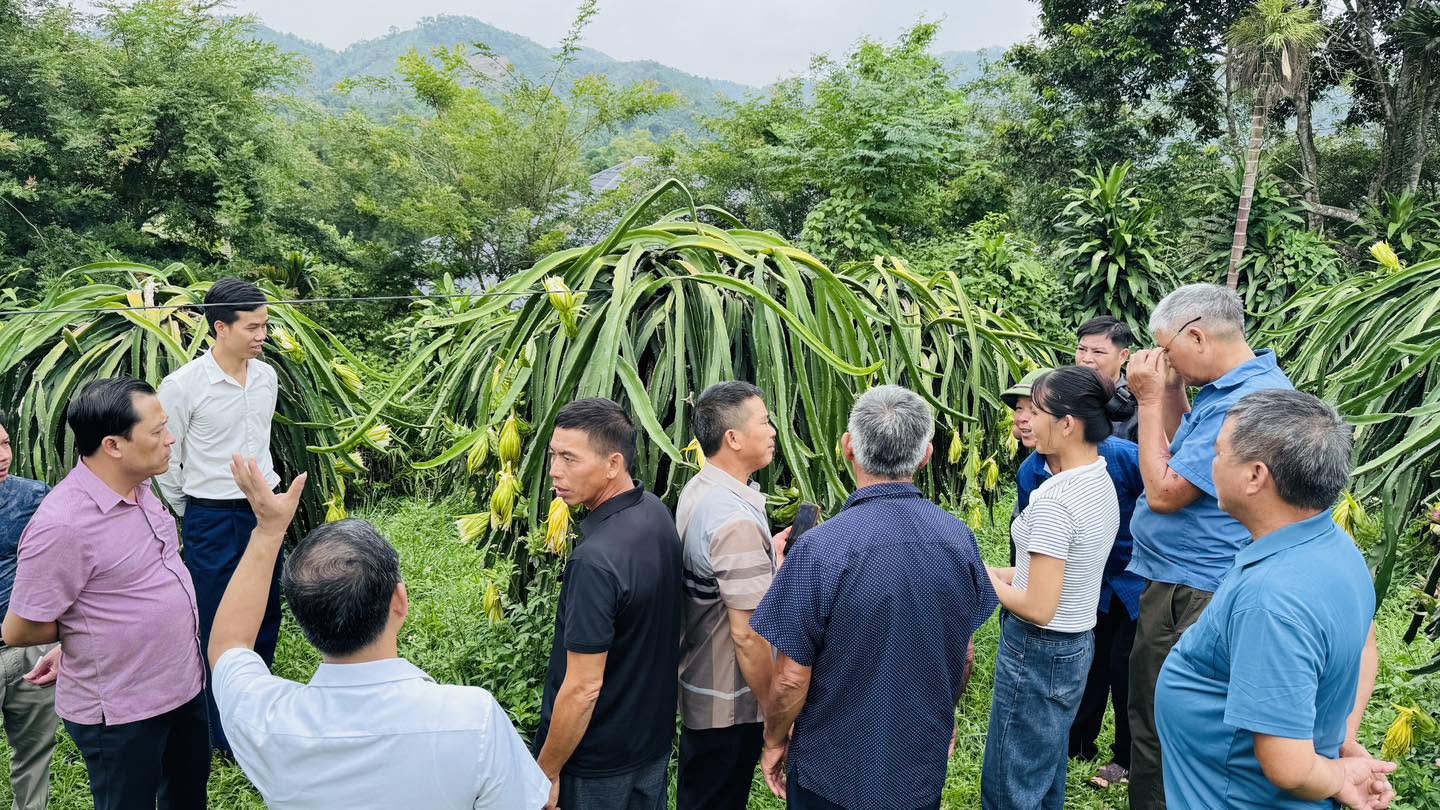 ĐOÀN CÔNG TÁC XÃ BẠCH ĐÍCH THAM QUAN, HỌC TẬP KINH NGHIỆM MÔ HÌNH PHÁT TRIỂN KINH TẾ NÔNG NGHIỆP TẠI XÃ BẠCH XA