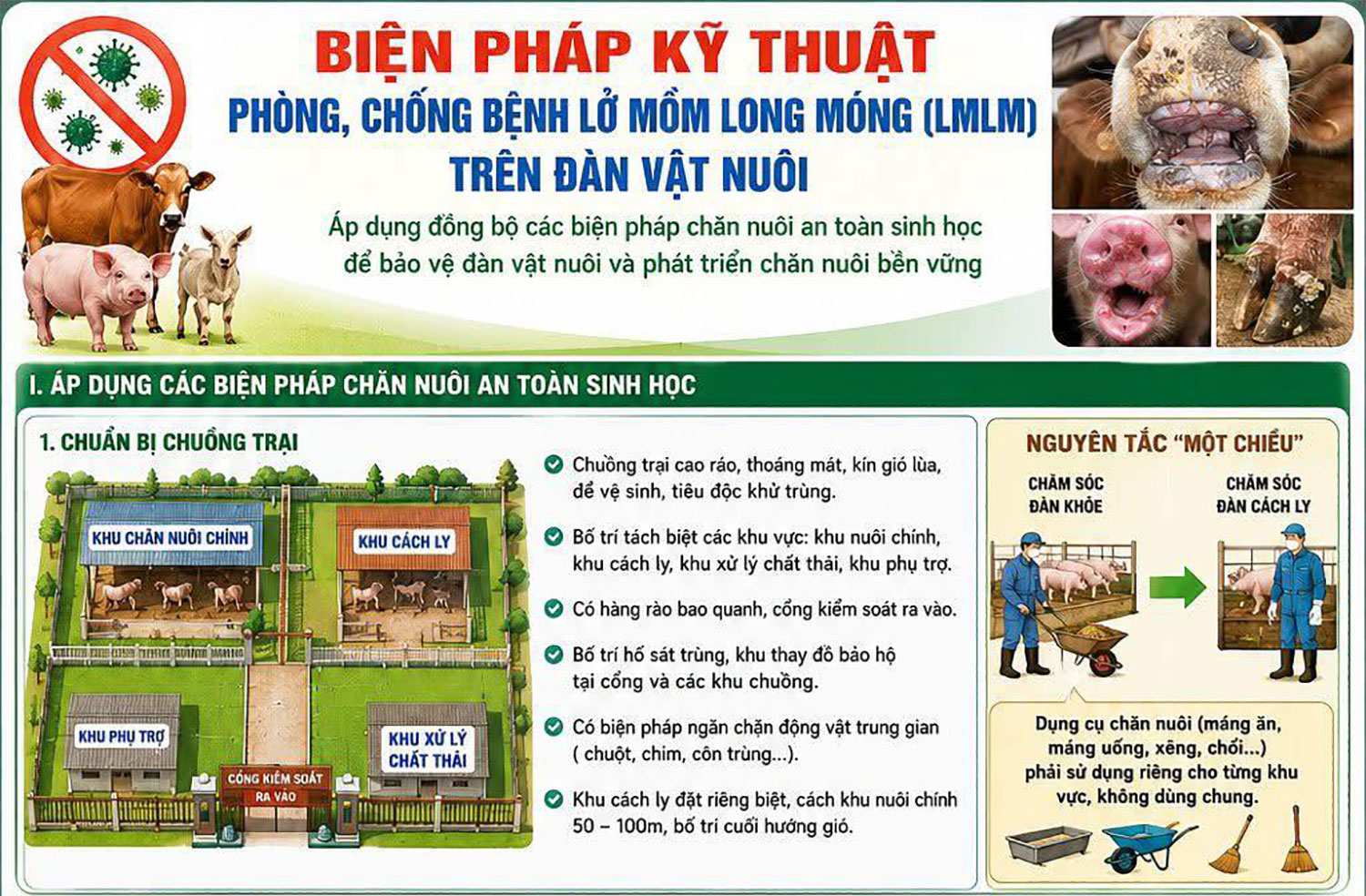 Hướng dẫn các biện pháp kỹ thuật phòng chống bệnh lở mồm long móng
